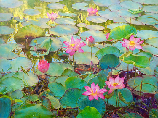 Les nénuphars et lotus II - 200 x 150 cm - Reproductions de tableaux et peintures haut de gamme