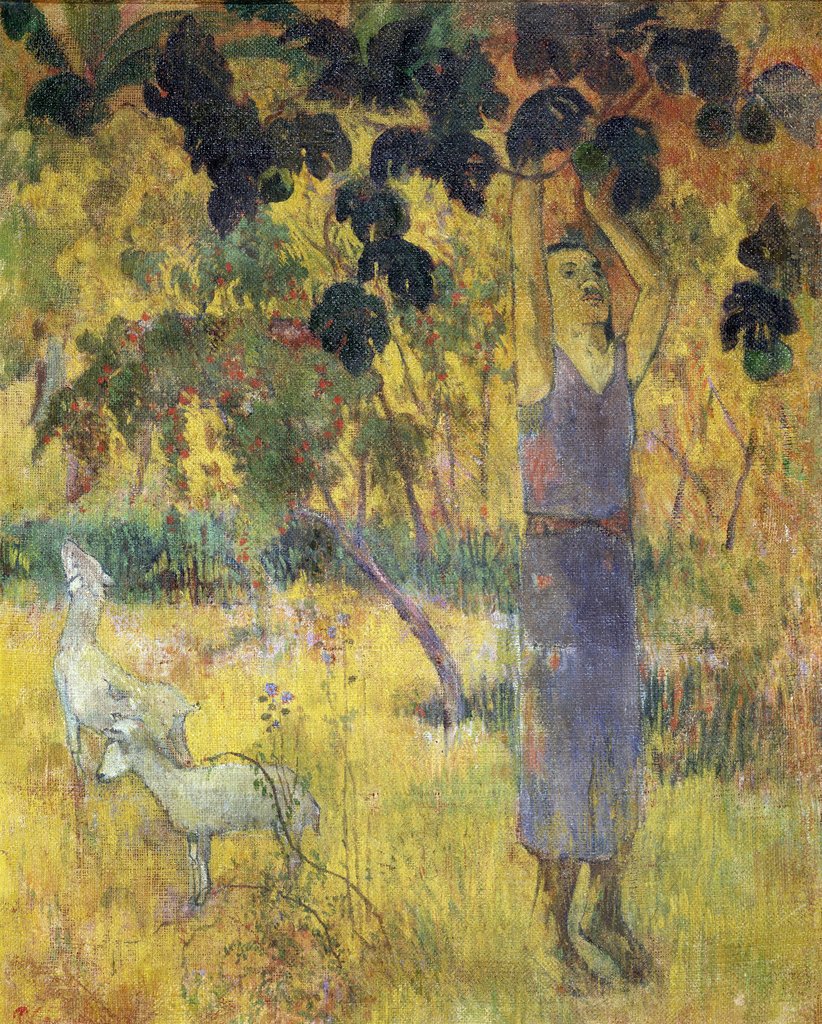 Homme cueillant des fruits sur un arbre - Paul Gauguin - Reproductions de tableaux et peintures haut de gamme