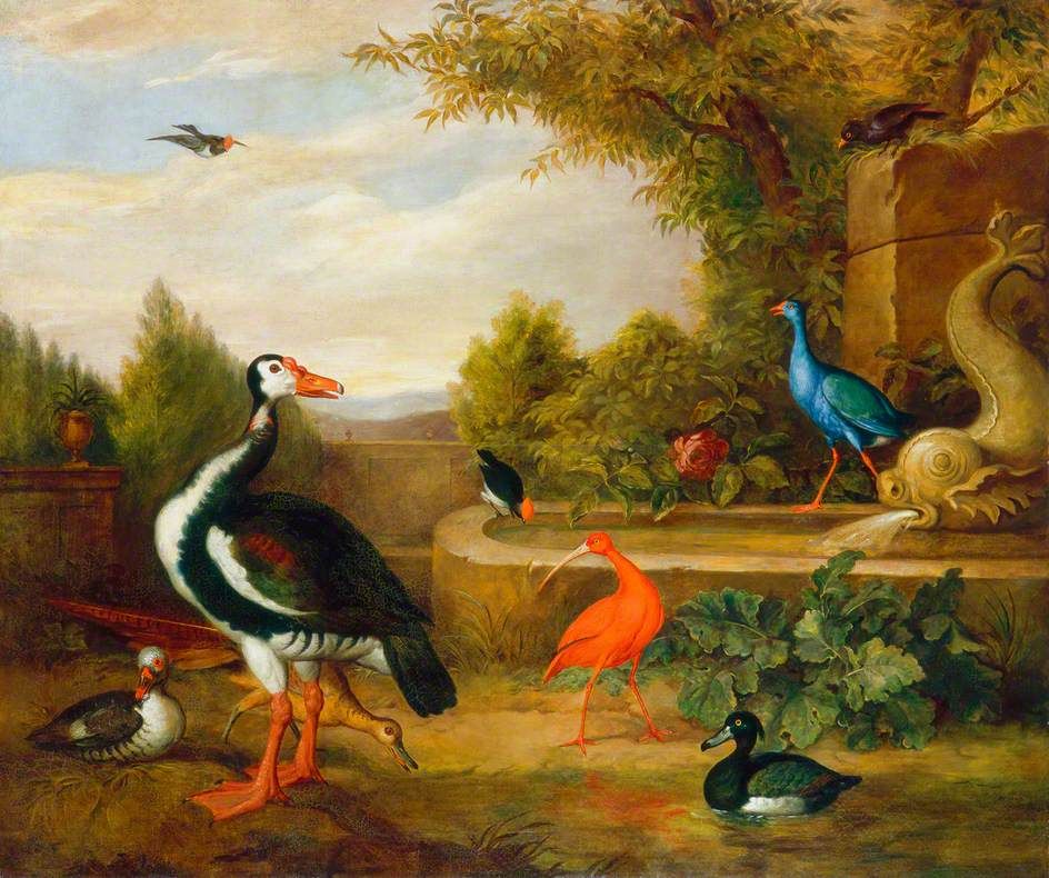 Différents types d'oiseaux (avec un martin-pêcheur et une fontaine) - Tobias Stranover - Reproductions de tableaux et peintures haut de gamme