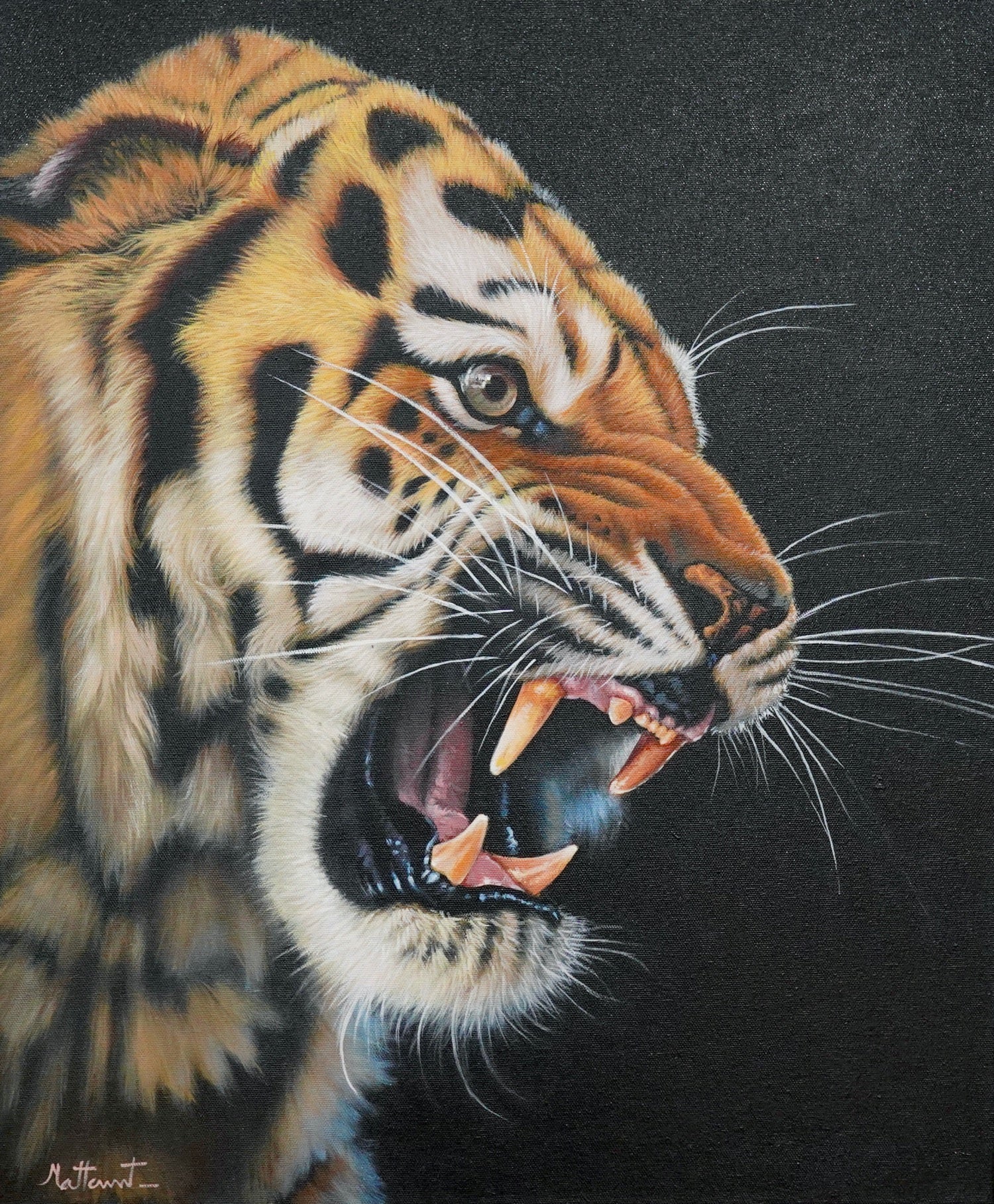 Tigre enragé - 50 x 60 cm - Reproductions de tableaux et peintures haut de gamme