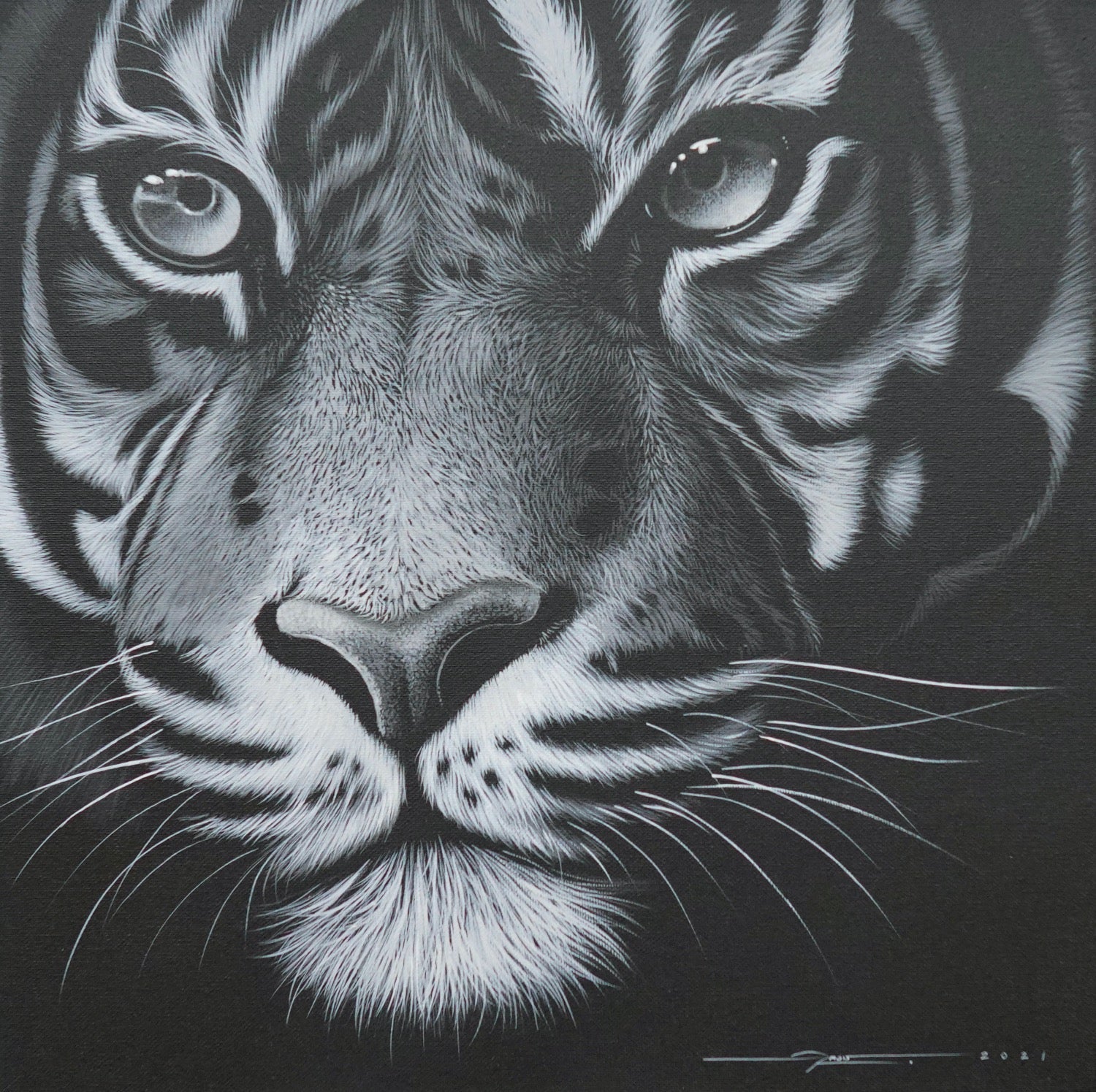 Tigre dans la nuit - 40 X 40 cm - Reproductions de tableaux et peintures haut de gamme