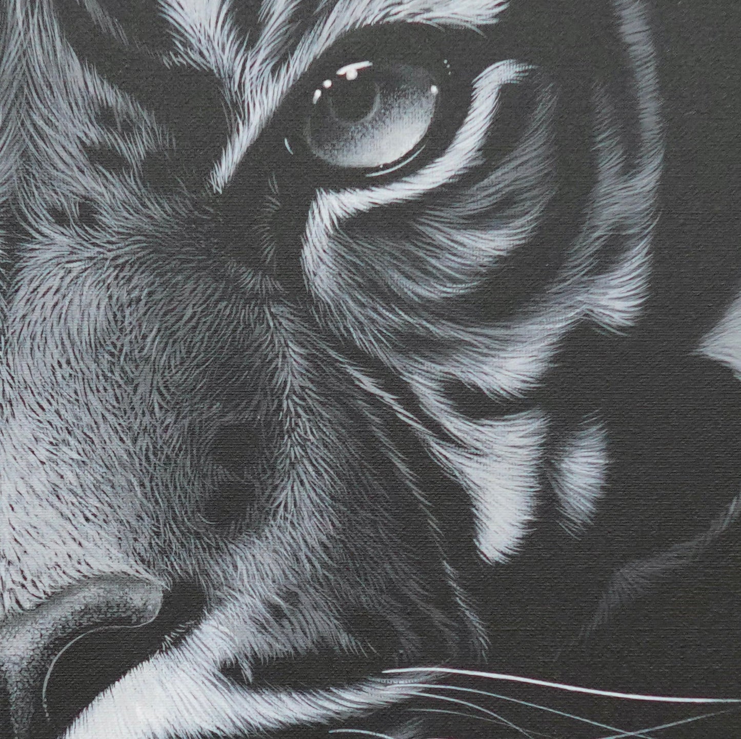 Tigre dans la nuit - 40 X 40 cm - Reproductions de tableaux et peintures haut de gamme