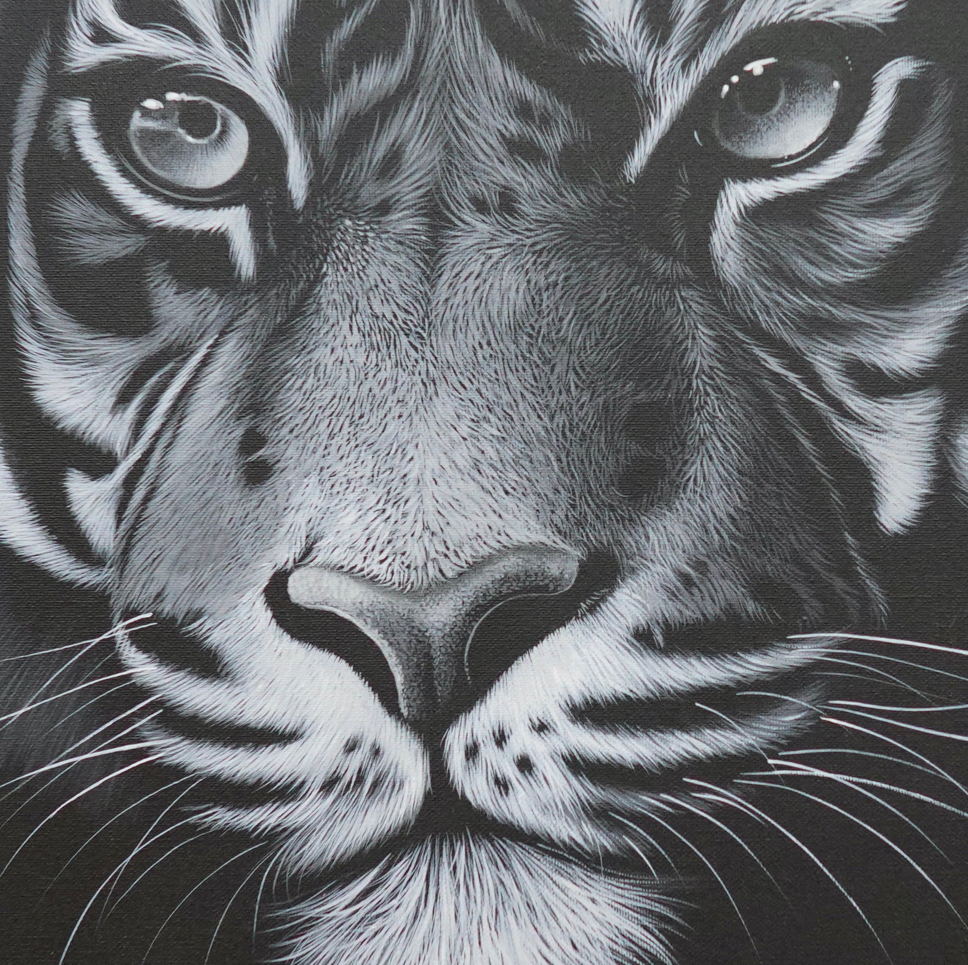 Tigre dans la nuit - 40 X 40 cm - Reproductions de tableaux et peintures haut de gamme