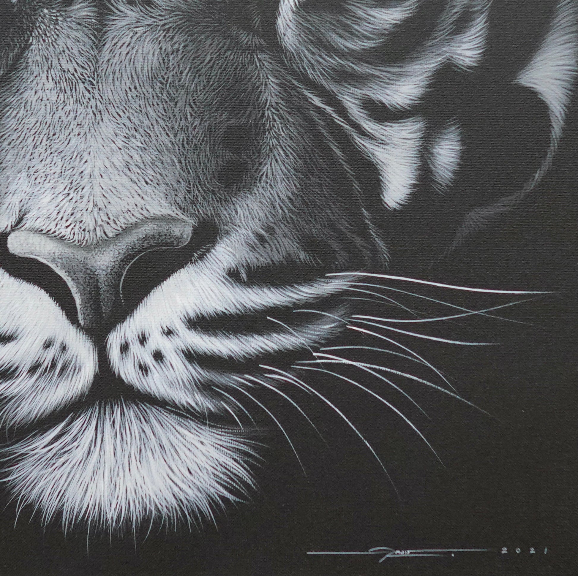 Tigre dans la nuit - 40 X 40 cm - Reproductions de tableaux et peintures haut de gamme