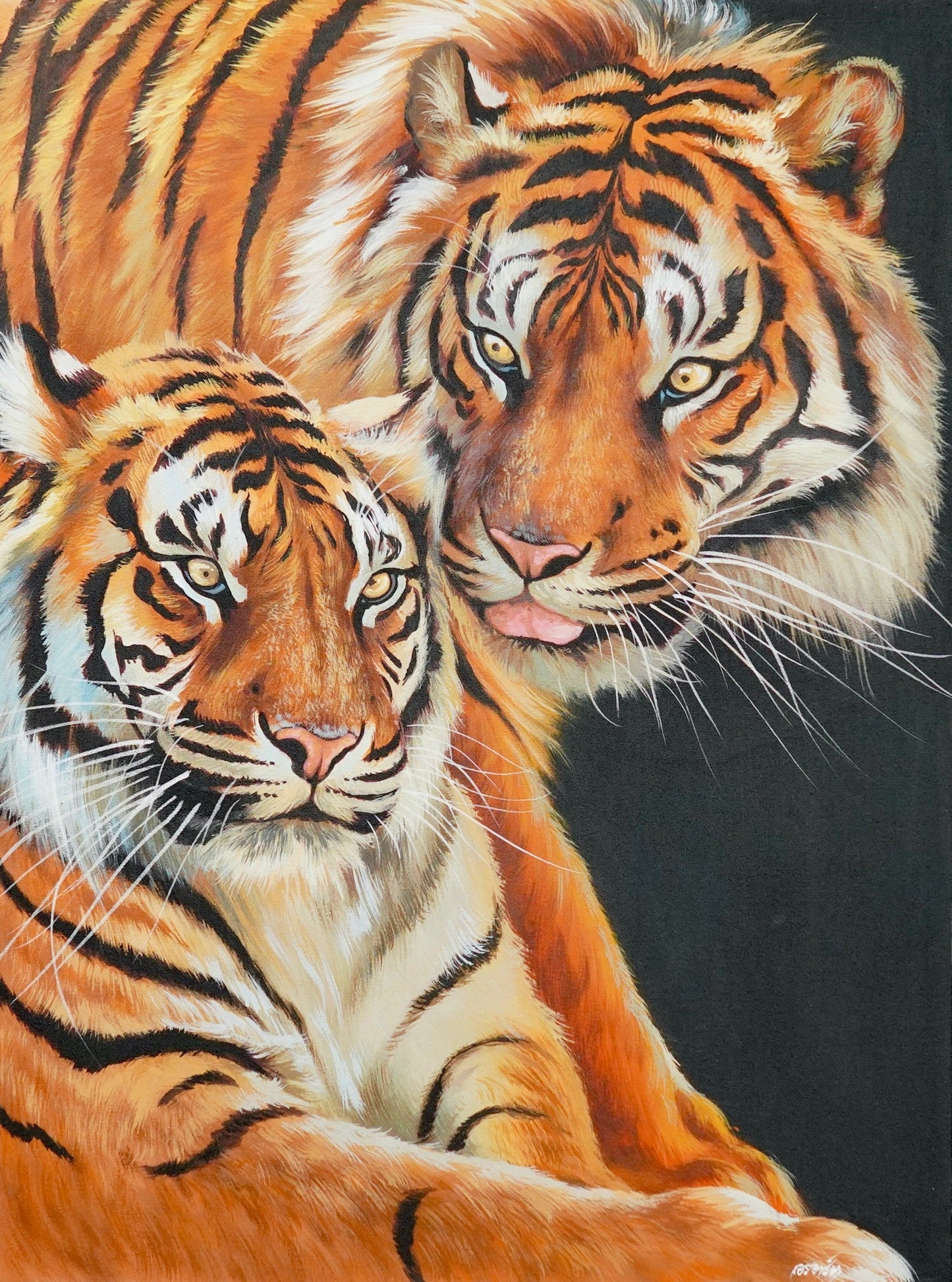 Couple de tigres - 60 X 80 cm - Reproductions de tableaux et peintures haut de gamme