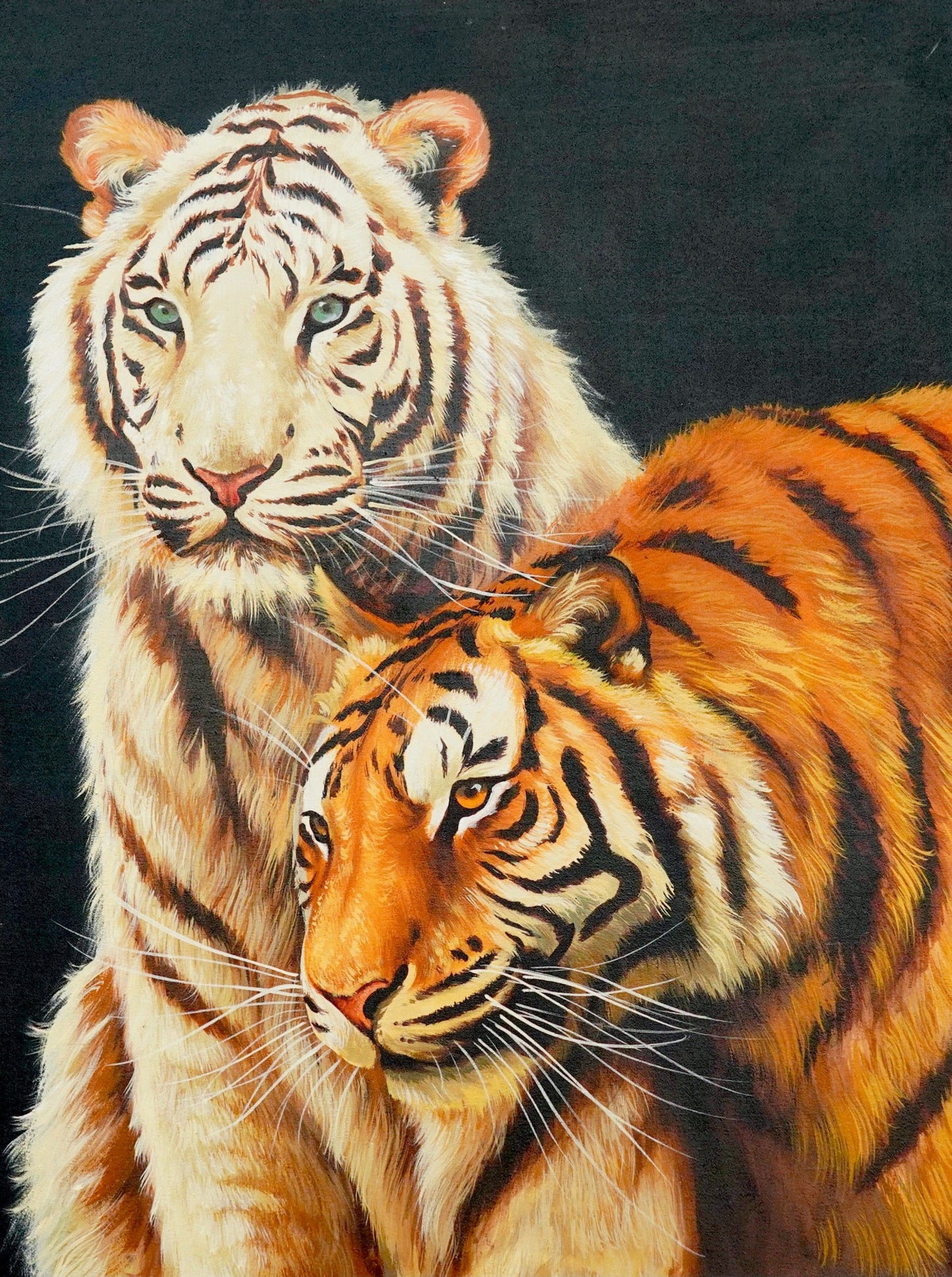 Couple de tigre blanc - 60 X 80 cm - Reproductions de tableaux et peintures haut de gamme