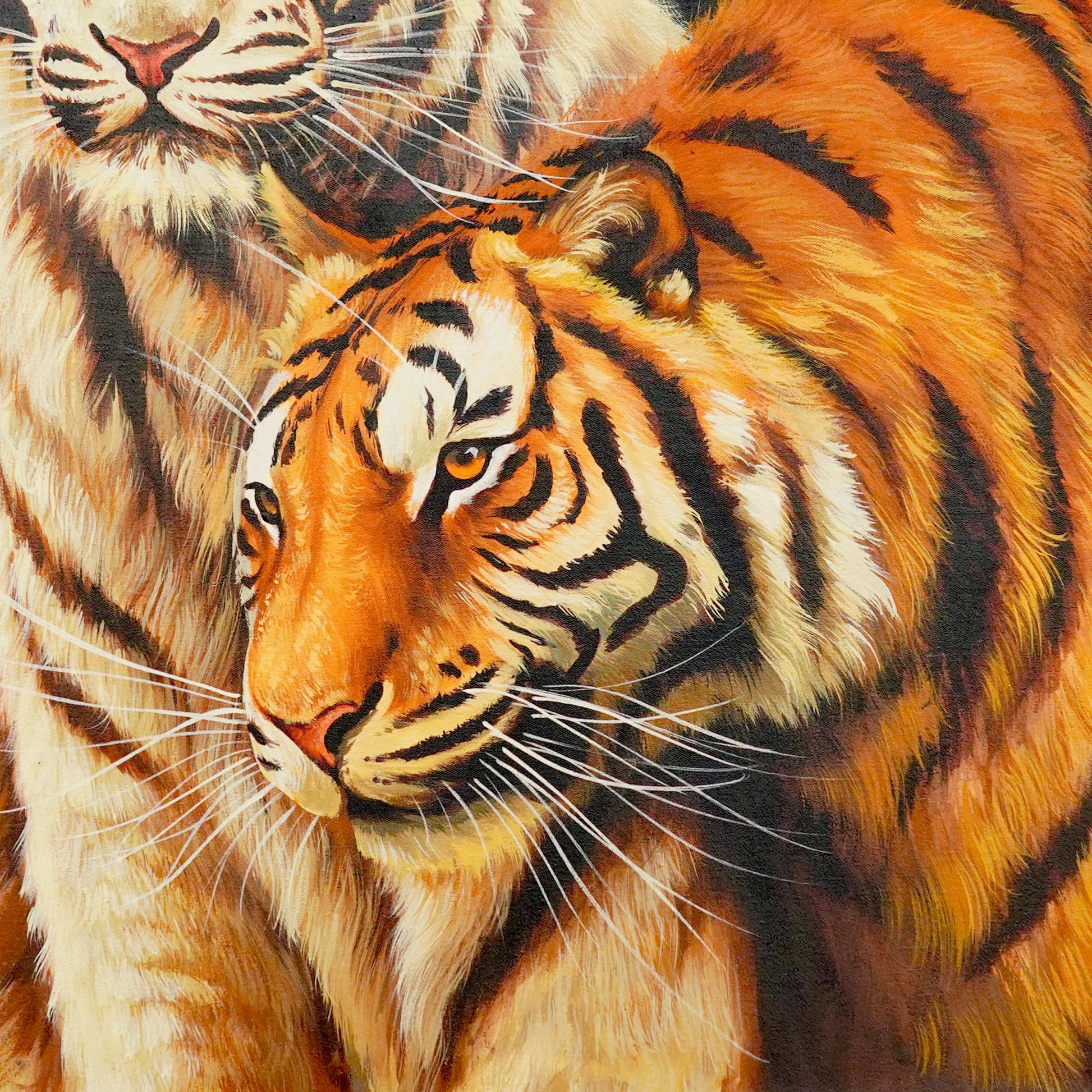 Couple de tigre blanc - 60 X 80 cm - Reproductions de tableaux et peintures haut de gamme