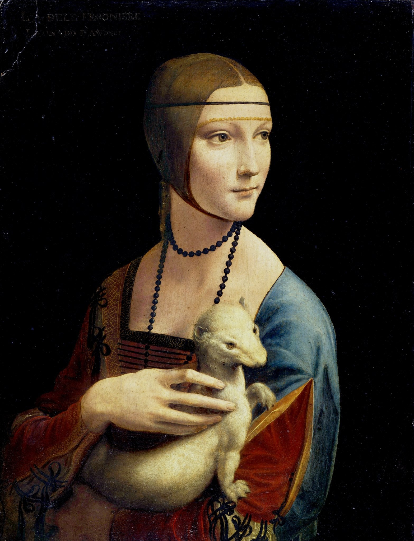 La Dame à l'hermine - Léonard de Vinci - Reproductions de tableaux et peintures haut de gamme