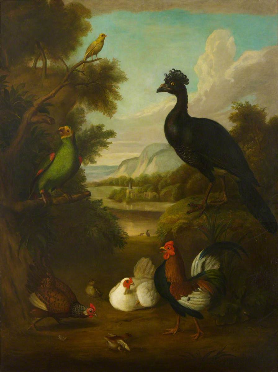 Canari, perroquet vert et autres oiseaux dans un paysage - Tobias Stranover - Reproductions de tableaux et peintures haut de gamme