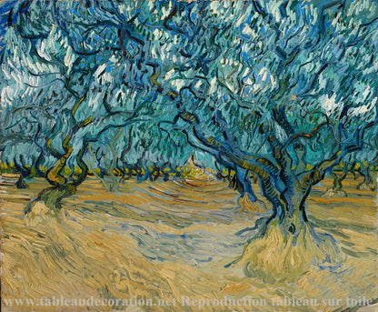 Le Champ d'oliviers - Van Gogh - Reproductions de tableaux et peintures haut de gamme