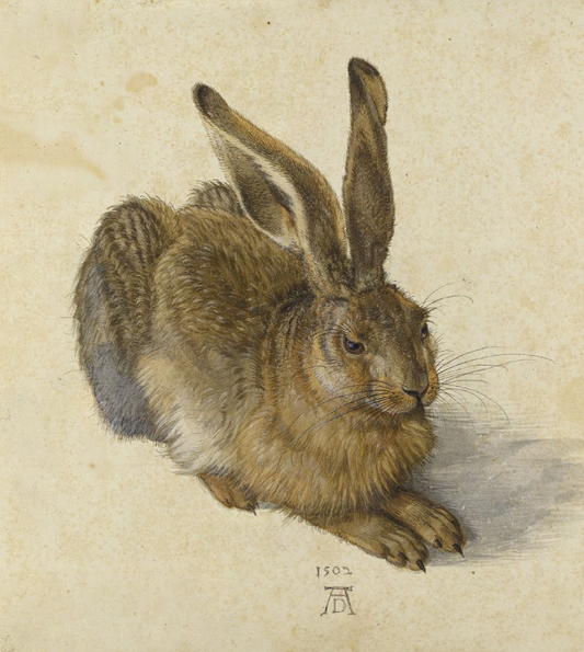 Le Lièvre - Albrecht Dürer - Reproductions de tableaux et peintures haut de gamme