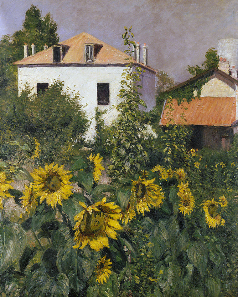 Tournesols dans le jardin du Petit Gennevilliers - Caillebotte - Reproductions de tableaux et peintures haut de gamme