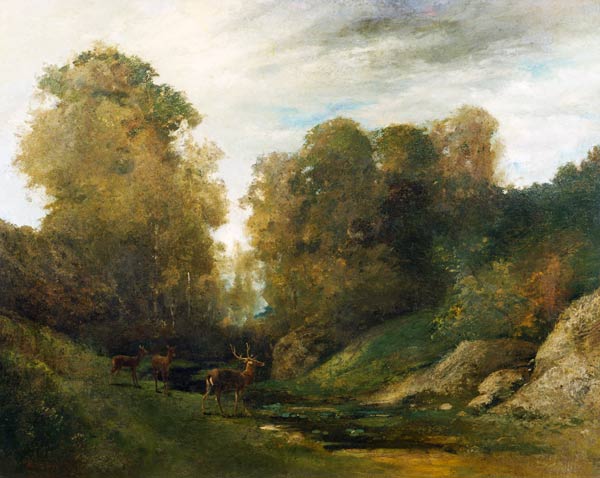 Cerf au bord de la rivière - Gustave Courbet - Reproductions de tableaux et peintures haut de gamme