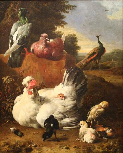 La poule blanche - Melchior d'Hondecoeter - Reproductions de tableaux et peintures haut de gamme