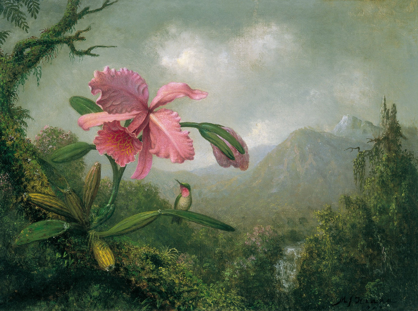 Orchidée et colibri près d'une cascade de montagne - Martin Johnson Heade - Reproductions de tableaux et peintures haut de gamme