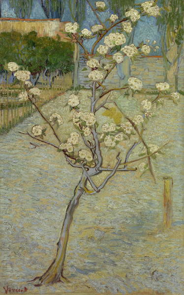 Petit poirier en fleur - Van Gogh - Reproductions de tableaux et peintures haut de gamme