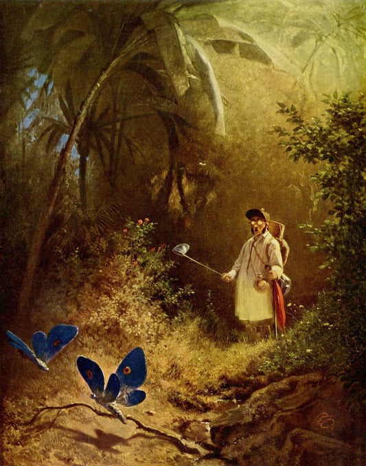 Le chasseur de papillons - Carl Spitzweg - Reproductions de tableaux et peintures haut de gamme