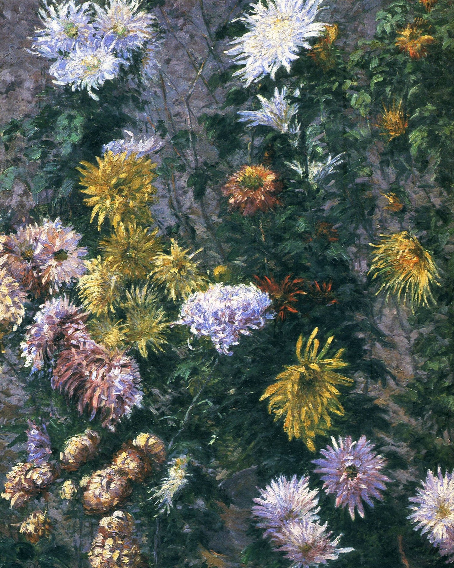 Chrysanthèmes blancs et jaunes - Caillebotte - Reproductions de tableaux et peintures haut de gamme