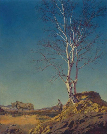 Bouleau blanc - Maxfield Parrish - Reproductions de tableaux et peintures haut de gamme